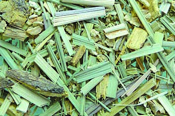 Bio KT-Mischung Lemon-Ingwer-Blend