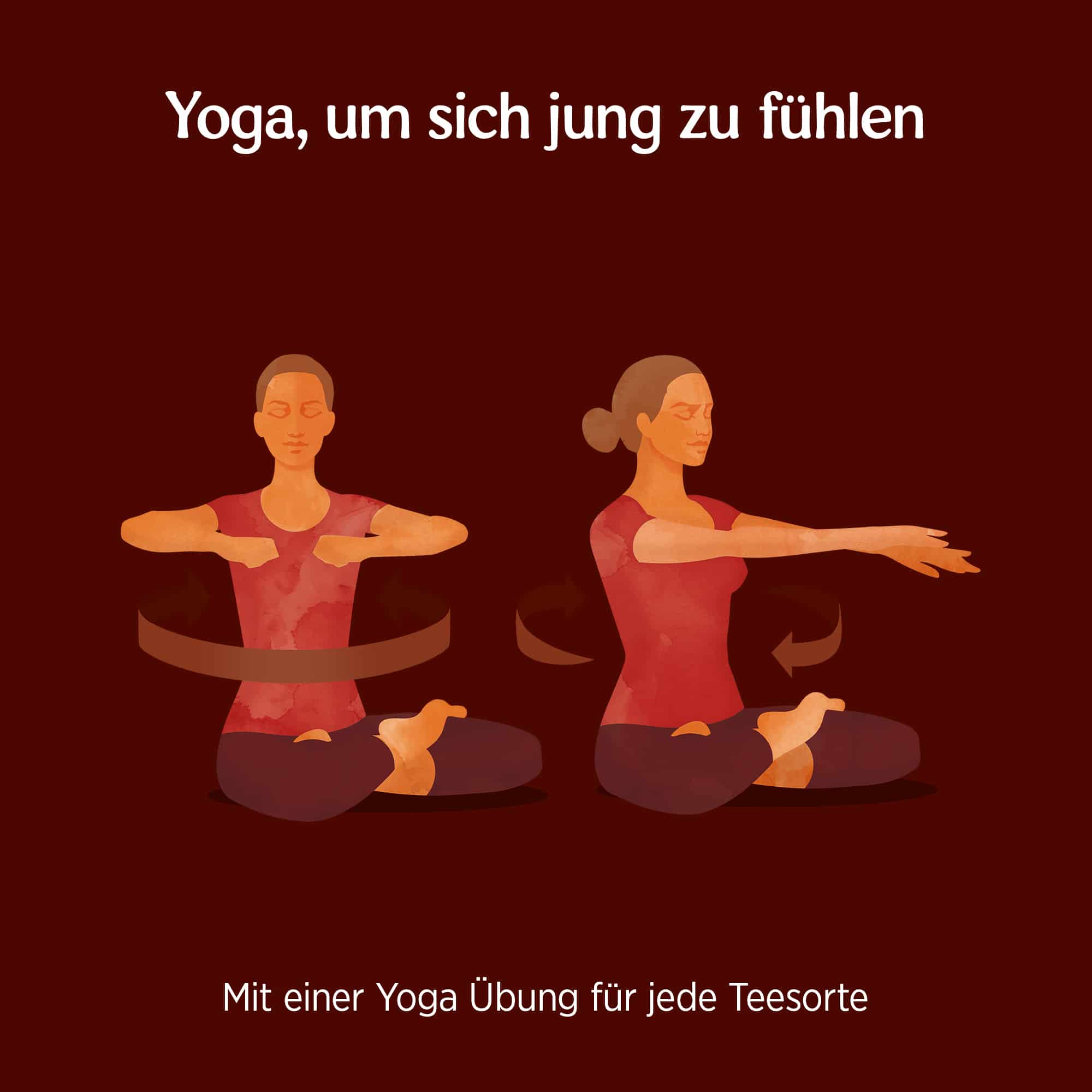6 x BIO YOGI TEA Maca Chai | 6 x 35,7g