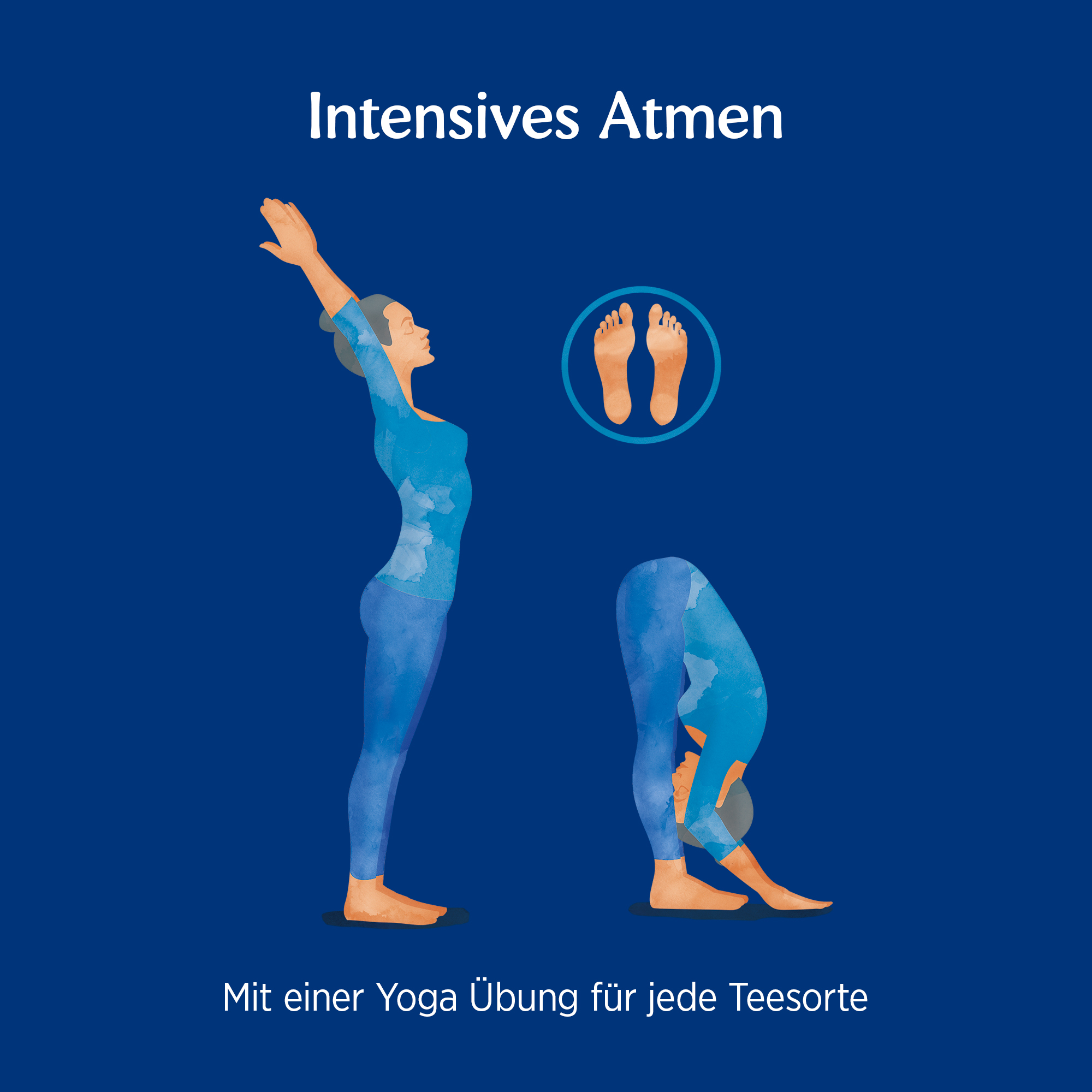6 x BIO YOGI TEA Atemtee | 6 x 30,6g 