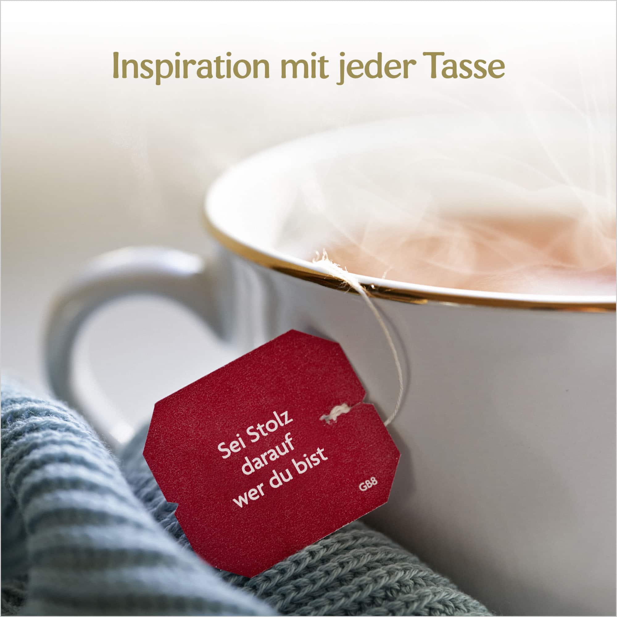 6 x BIO YOGI TEA Abend Rooibos Vanille | 6 x 30,6g 