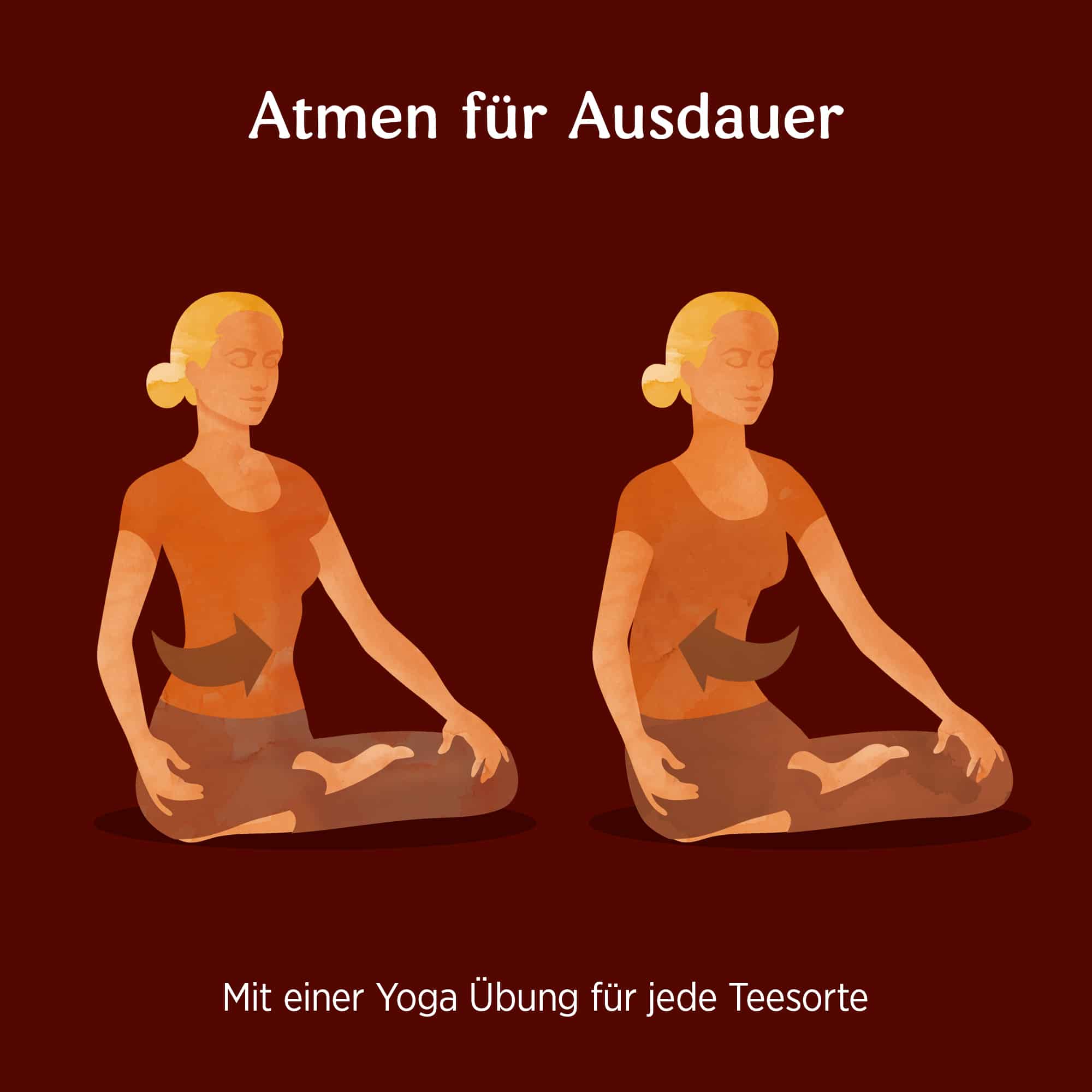 6 x BIO YOGI TEA Ingwer | 6 x 30,6g 