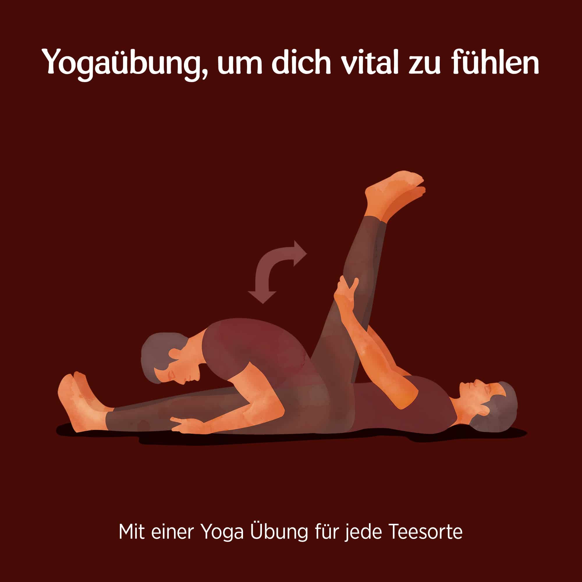 6 x BIO YOGI TEA Männertee | 6 x 30,6g