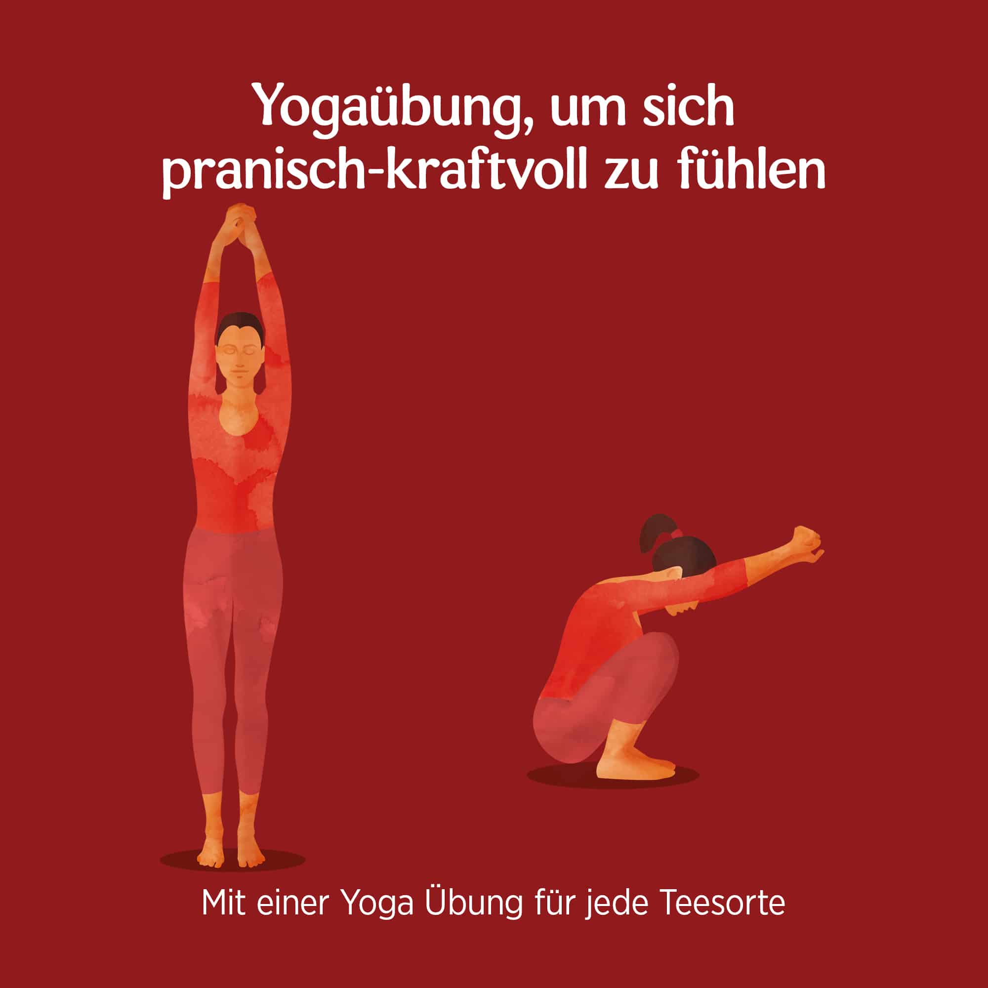 6 x BIO YOGI TEA Positive Energie | 6 x 30,6g