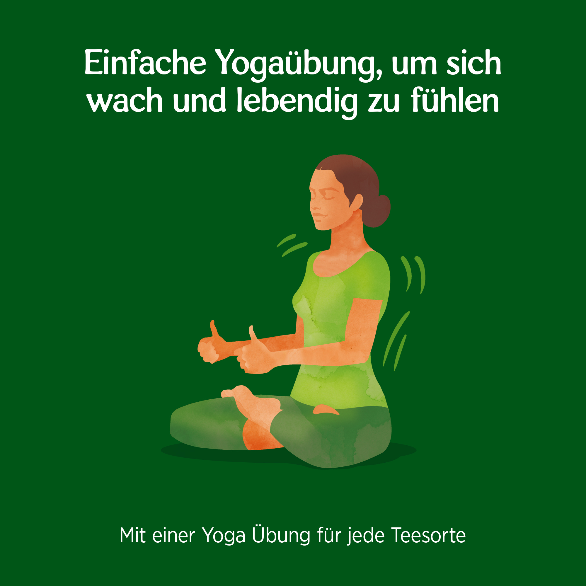 6x BIO YOGI TEA Grüntee Ingwer Zitrone | 6 x 30,6g