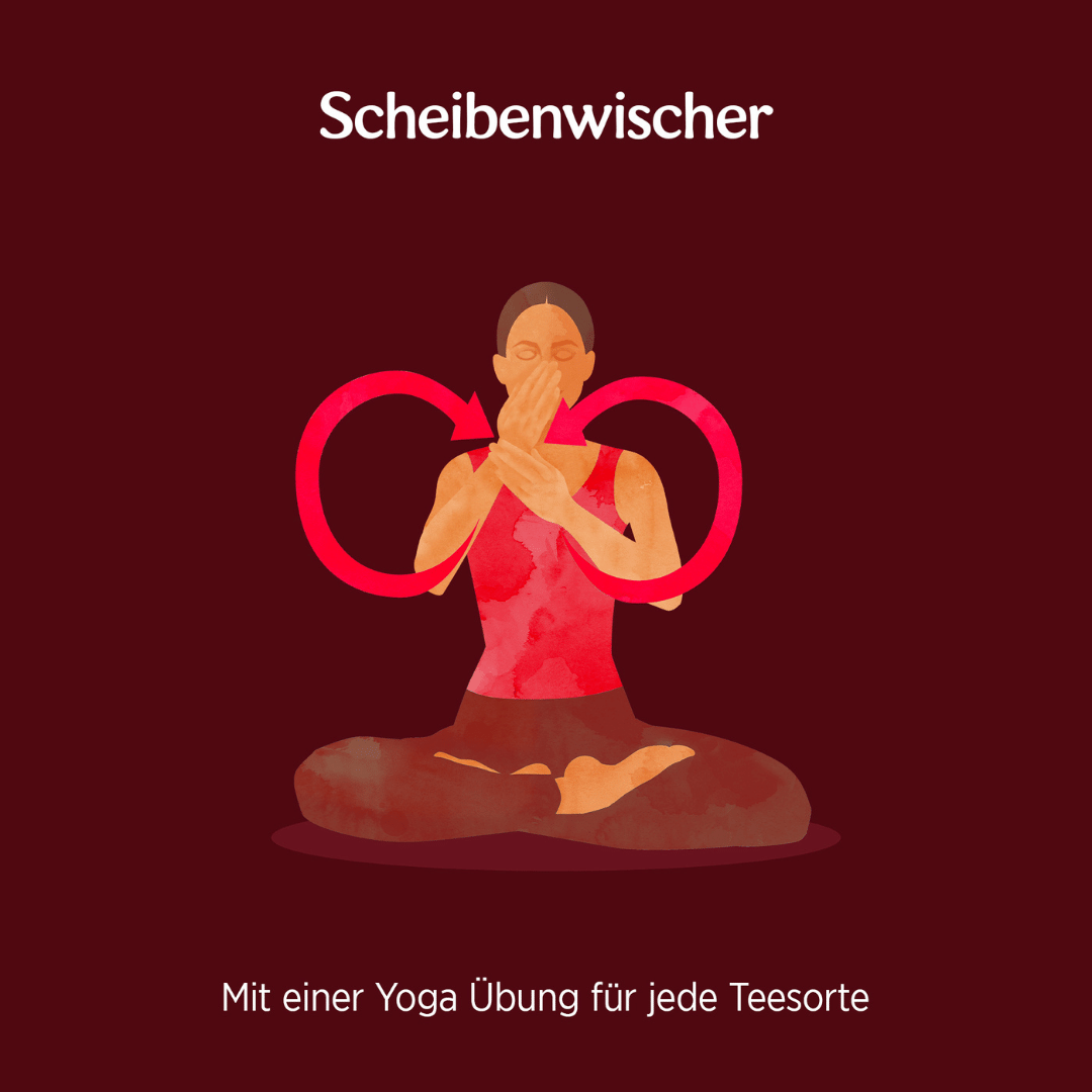 6 x YOGI TEA Mentale Klarheit Bio 32,3g Bio Kräutertee - minzig. erfrischend
