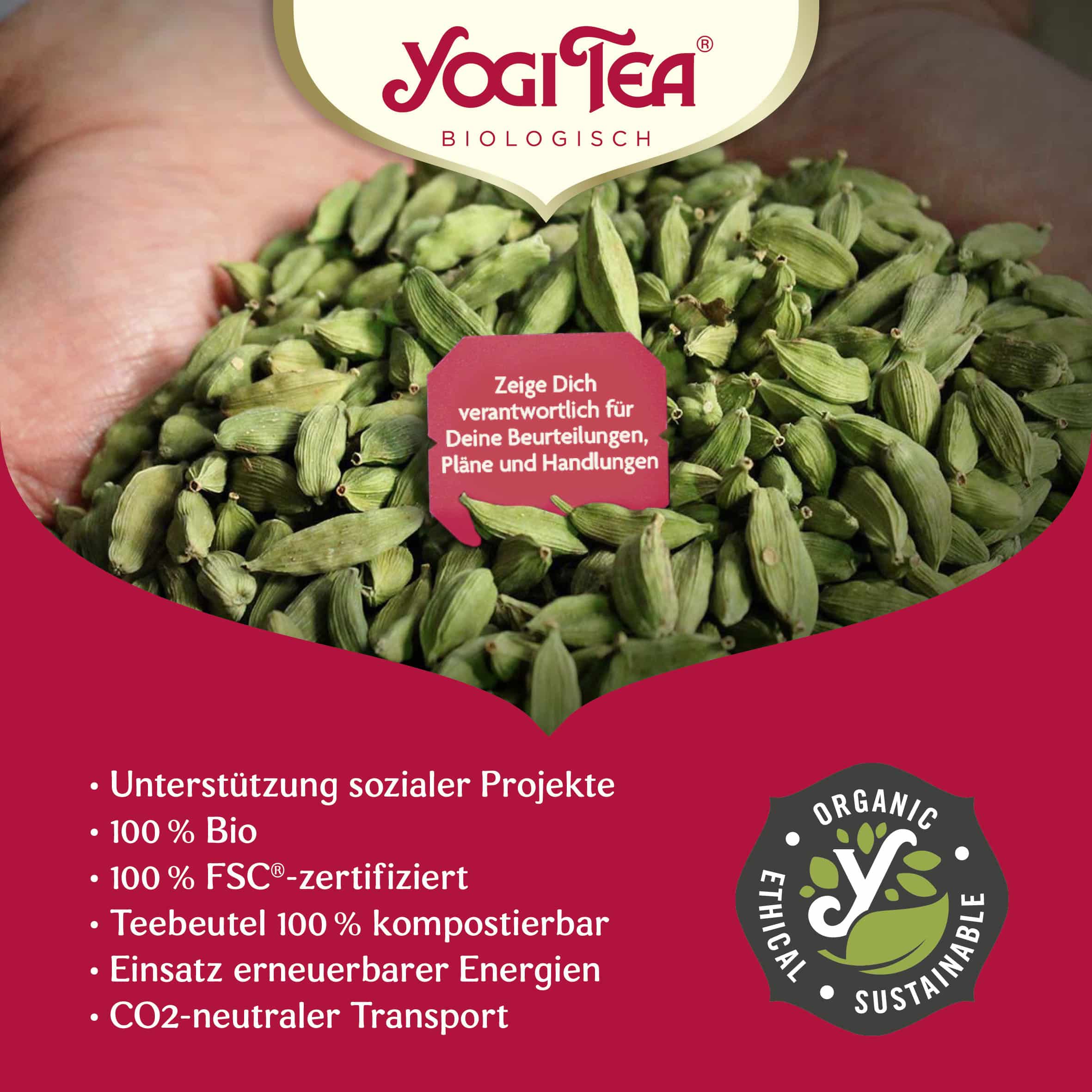 6 x BIO YOGI TEA Maca Chai | 6 x 35,7g
