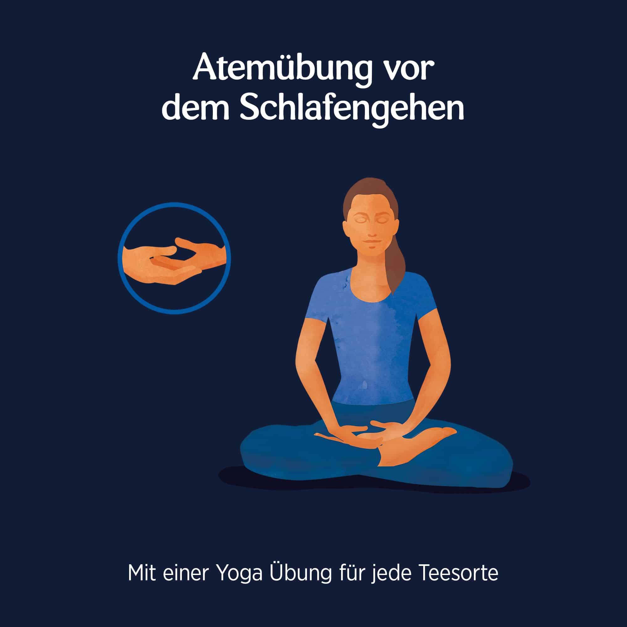 6 x BIO YOGI TEA Abend | 6 x 30,6g 