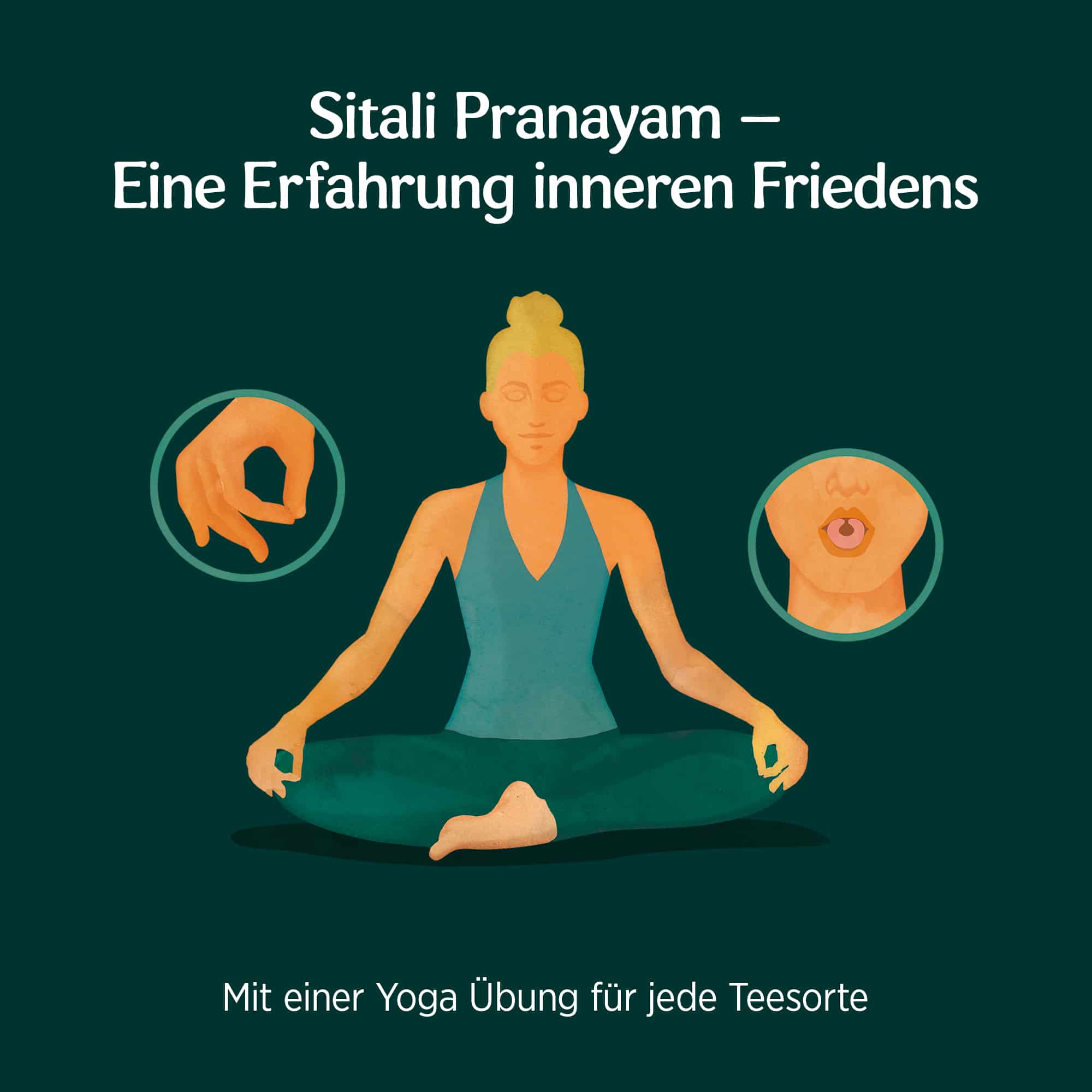 6 x BIO YOGI TEA Ruhe | 6 x 30,6g