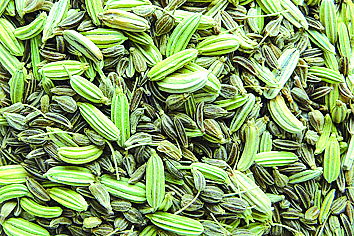 Bio KT Mutter & Baby Tee