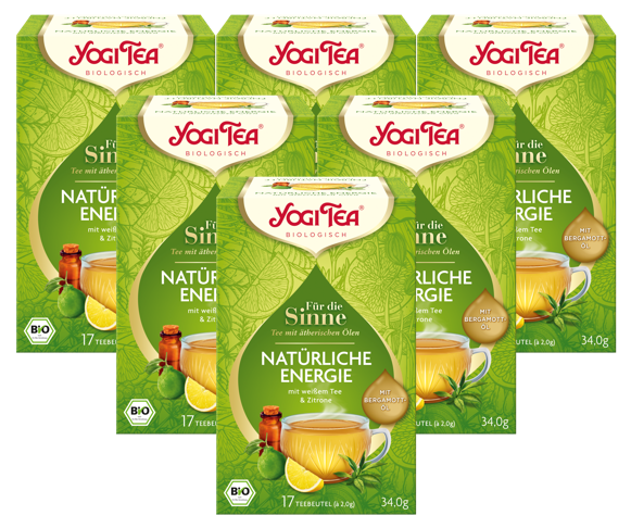 6 x BIO YOGI TEA FTS Natürliche Energie | 6x34g 