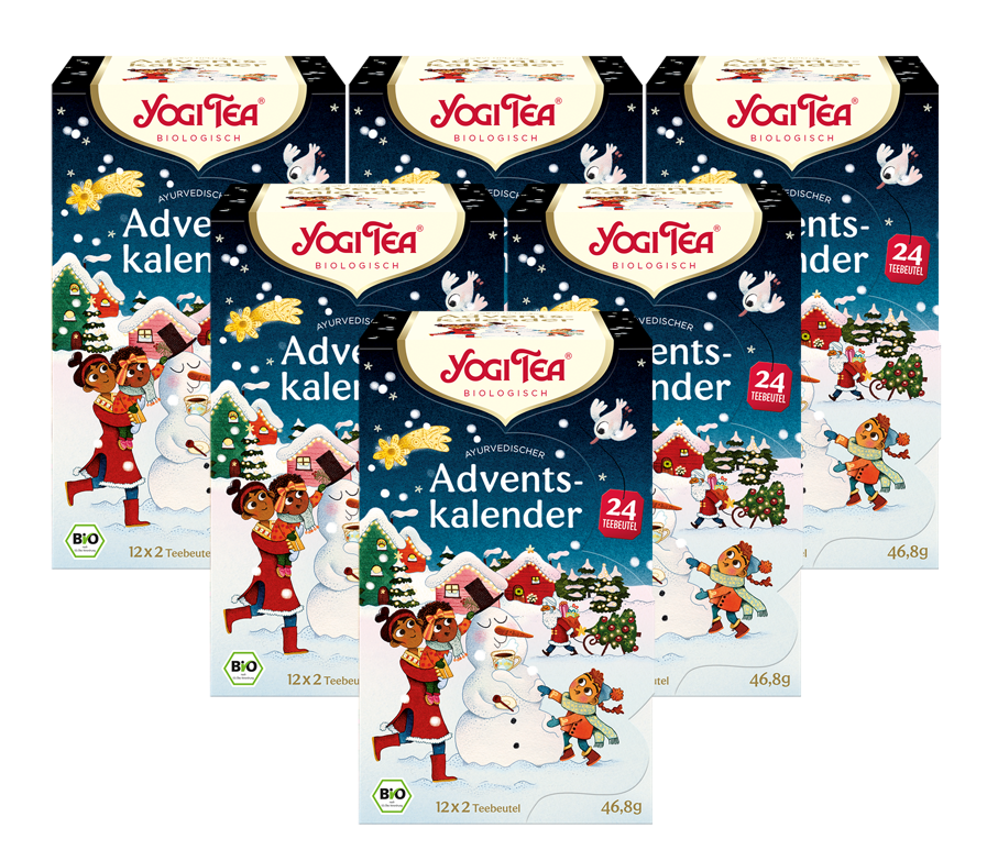 6 x YOGI TEA Advents-Kalender BIO | 6 x 46,8g