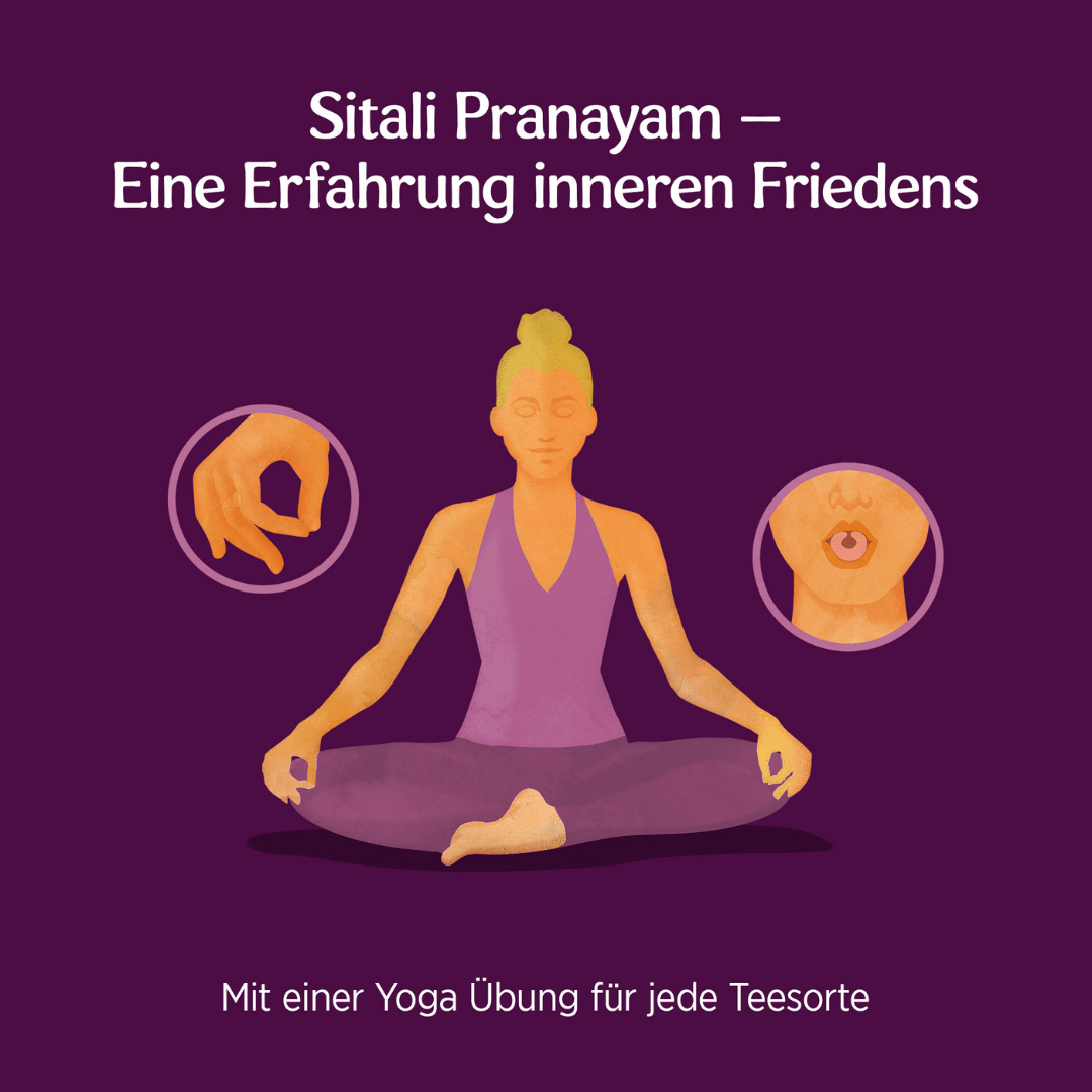 6 x YOGI TEA Ashwagandha Balance Bio 34g Bio Kräutertee - fruchtig. ausgleichend