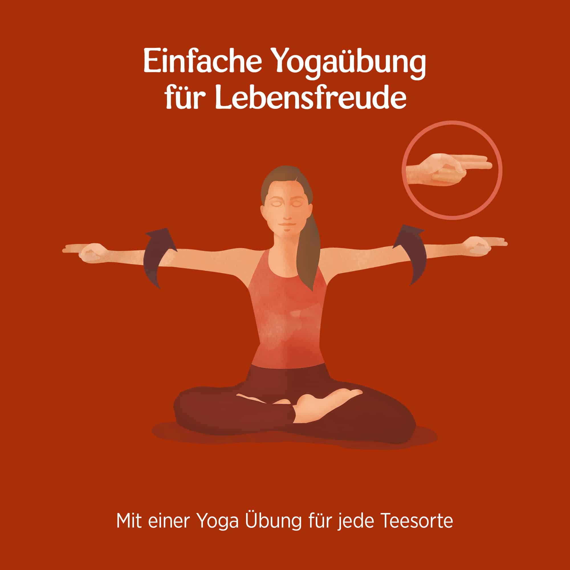 6 x BIO YOGI TEA Lebensfreude  | 6 x 30,6g