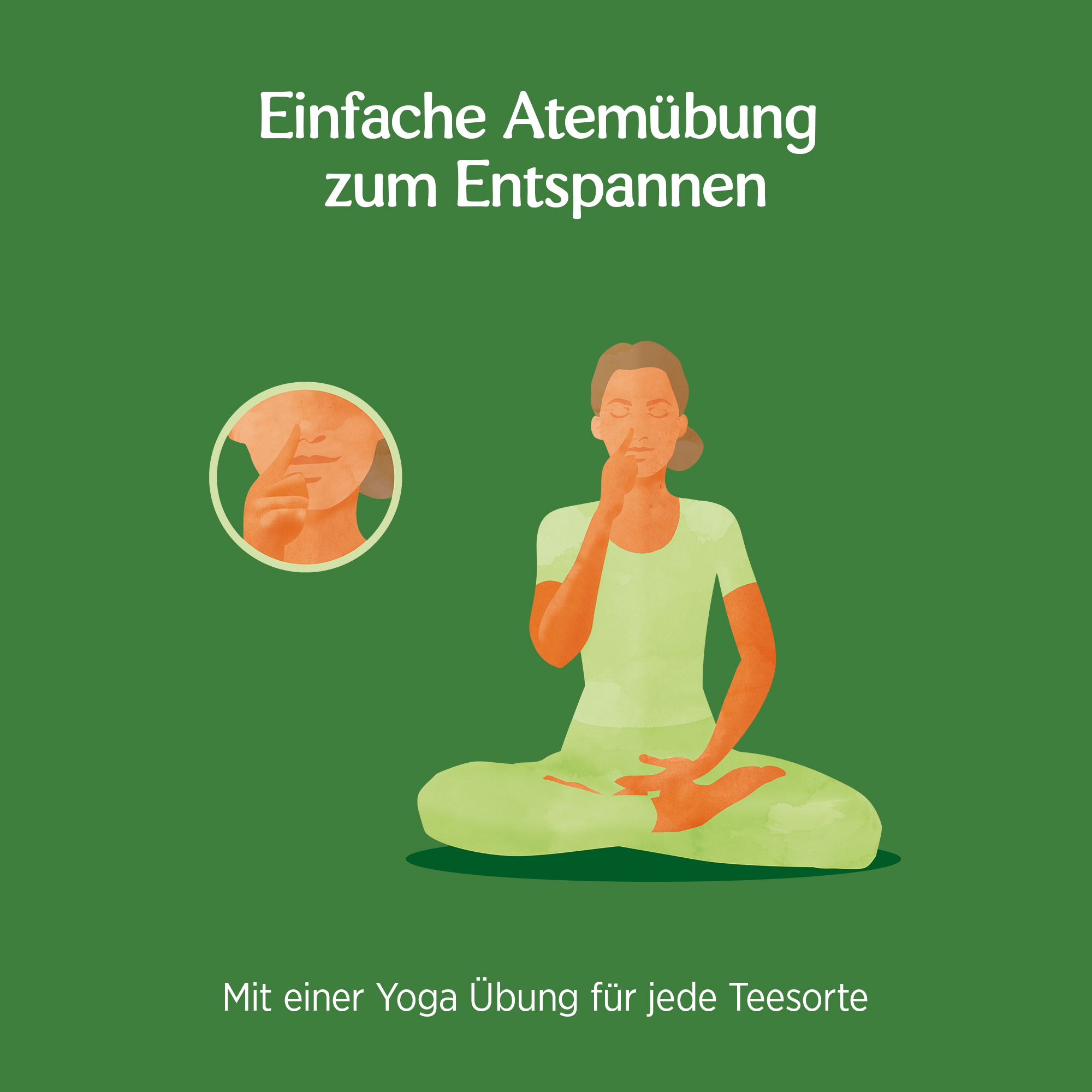 6 x BIO YOGI TEA Tulsi Gelassenheit | 6 x 34g