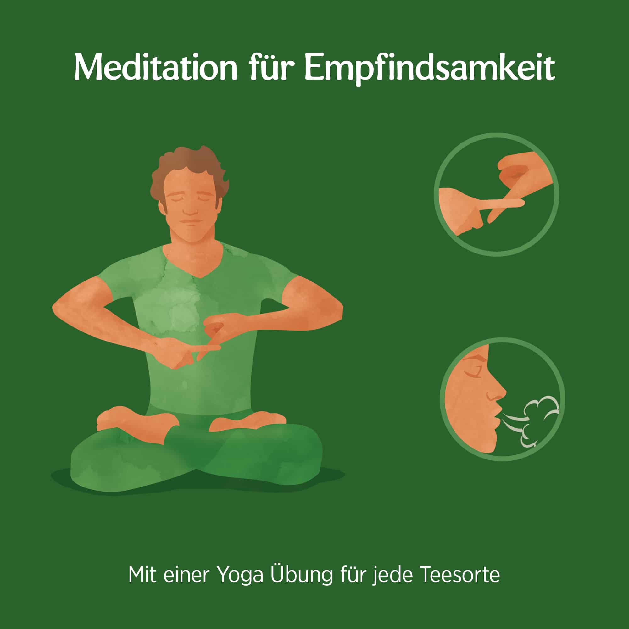 6 x BIO YOGI TEA Natürliche Balance | 6 x 34g